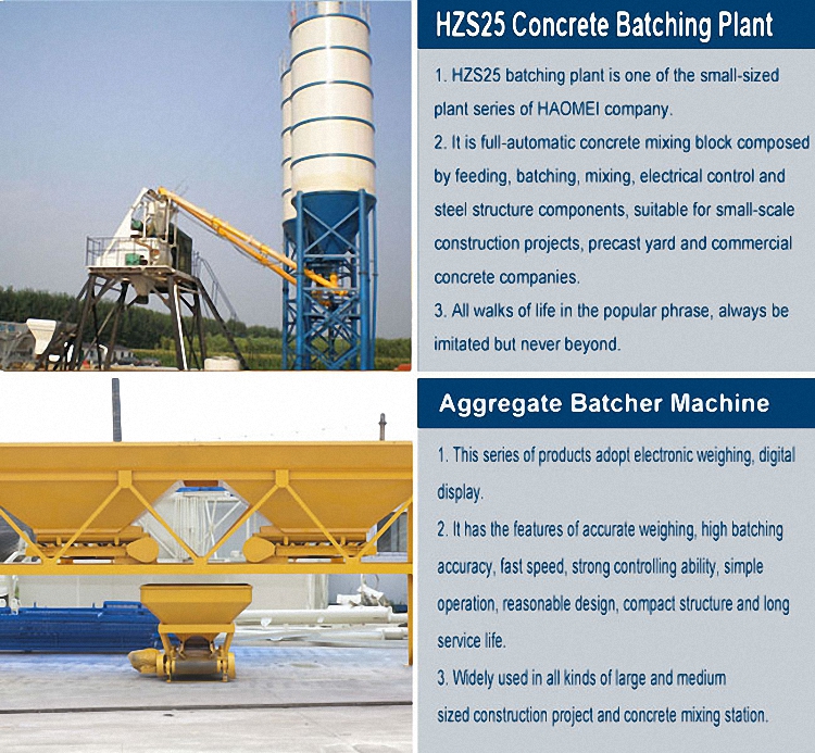 HZS25 Concrete Batching Plant